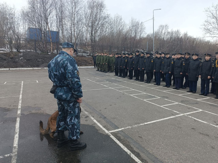 14 мая Североморский кадетский корпус посетили сотрудники отдела по конвоированию УФСИН.